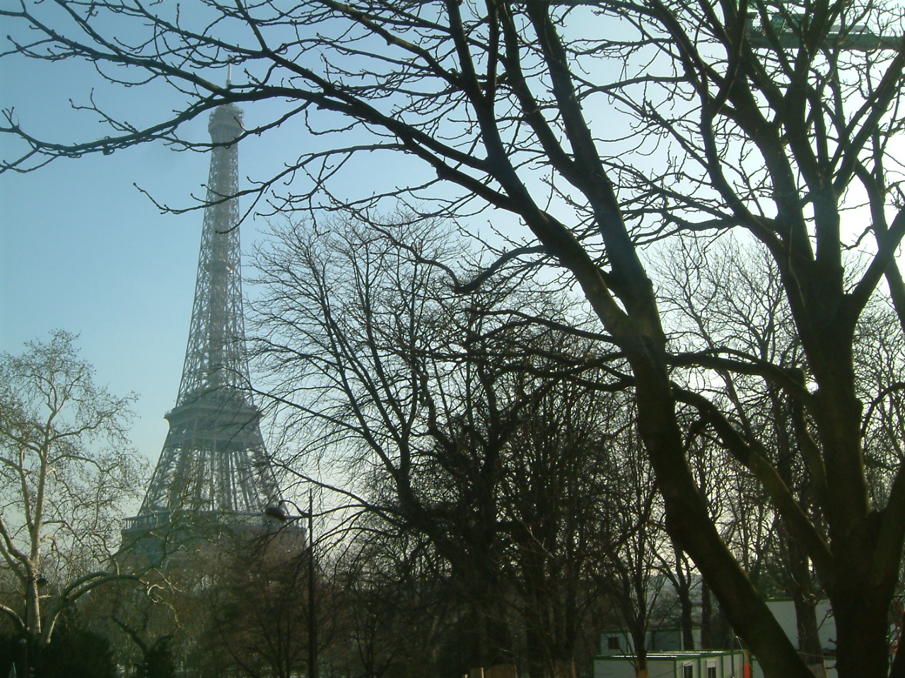 A peaceful view of the Eiffel Tower through the winter trees during my memorable trip to Paris.