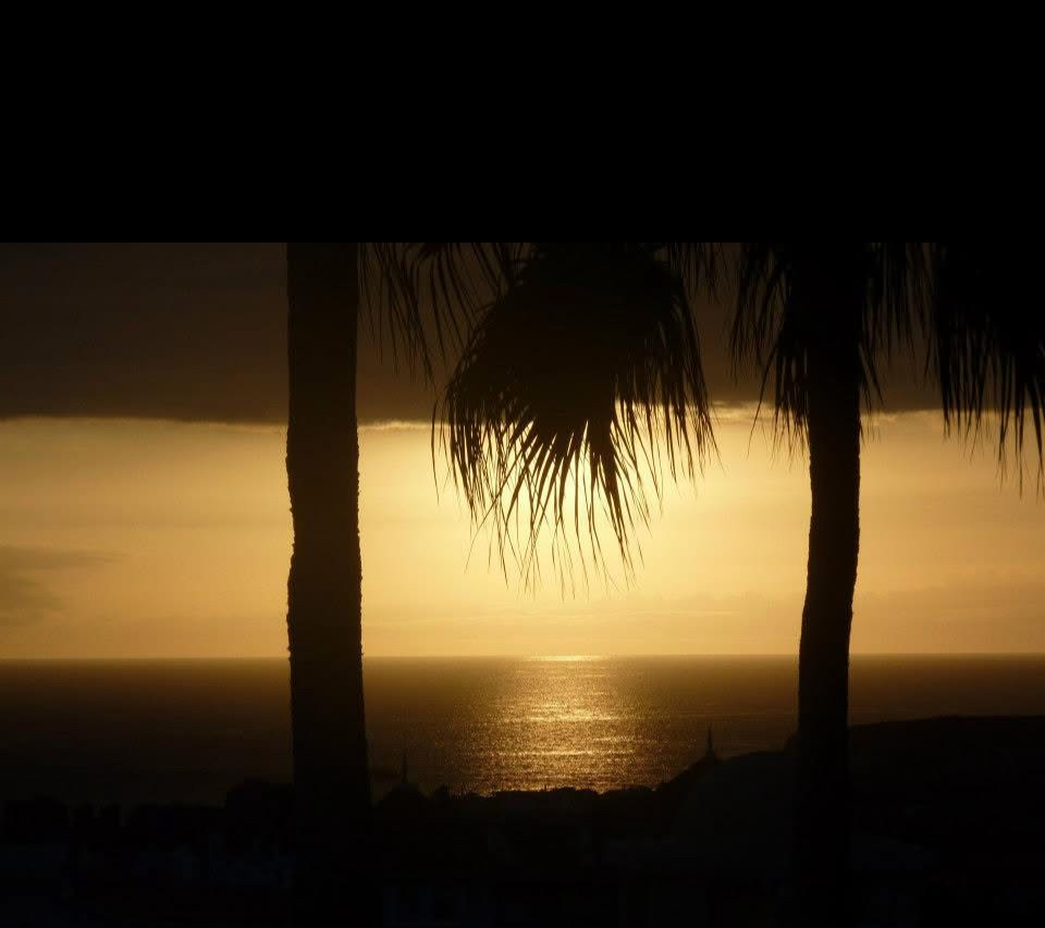 The golden sun setting over the sea in Spain, framed perfectly by palm trees.