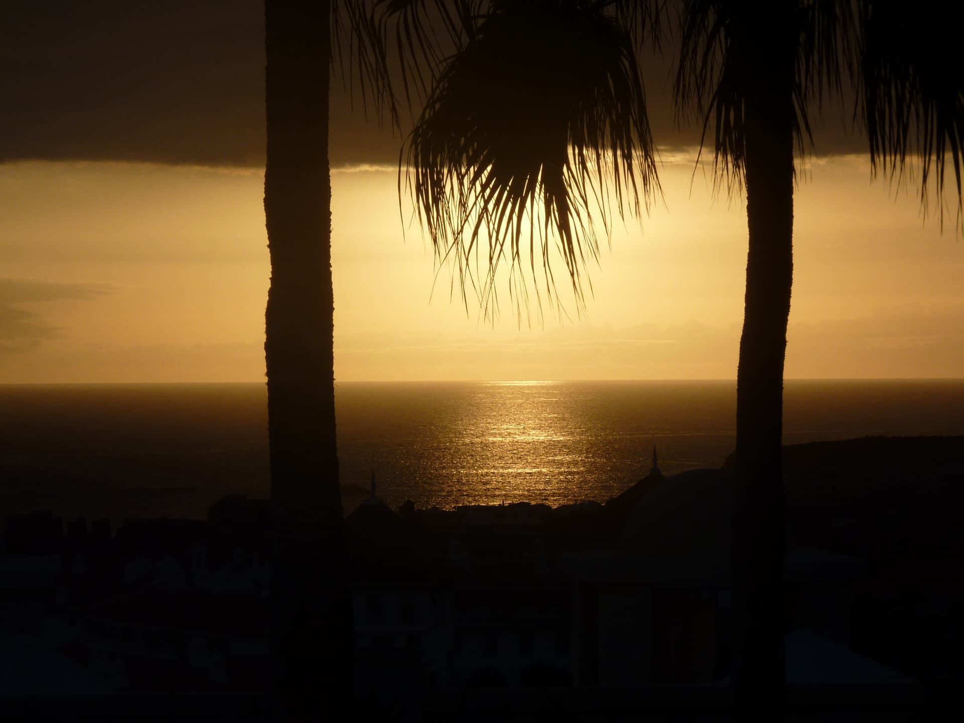 Golden sunset over the sea framed by palm trees